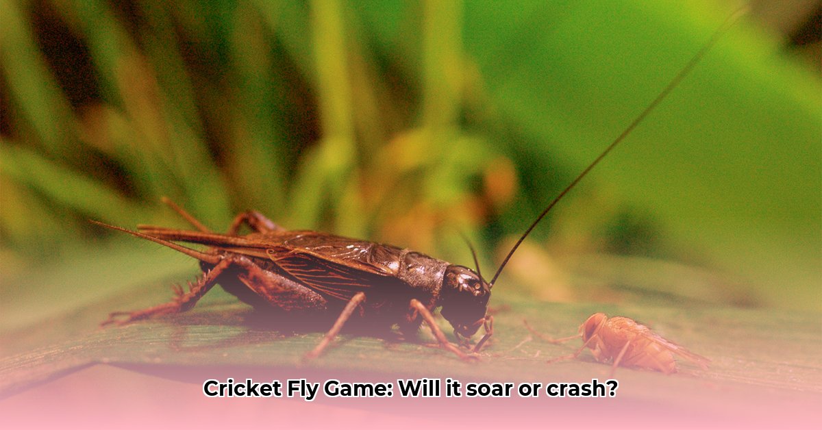 cricket-fly